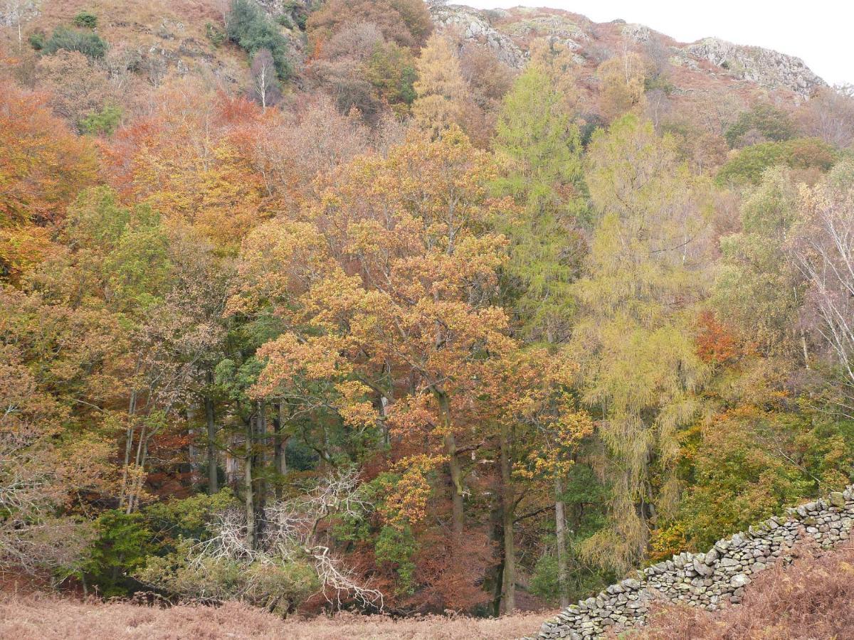 Beech Villa Ulverston Kültér fotó